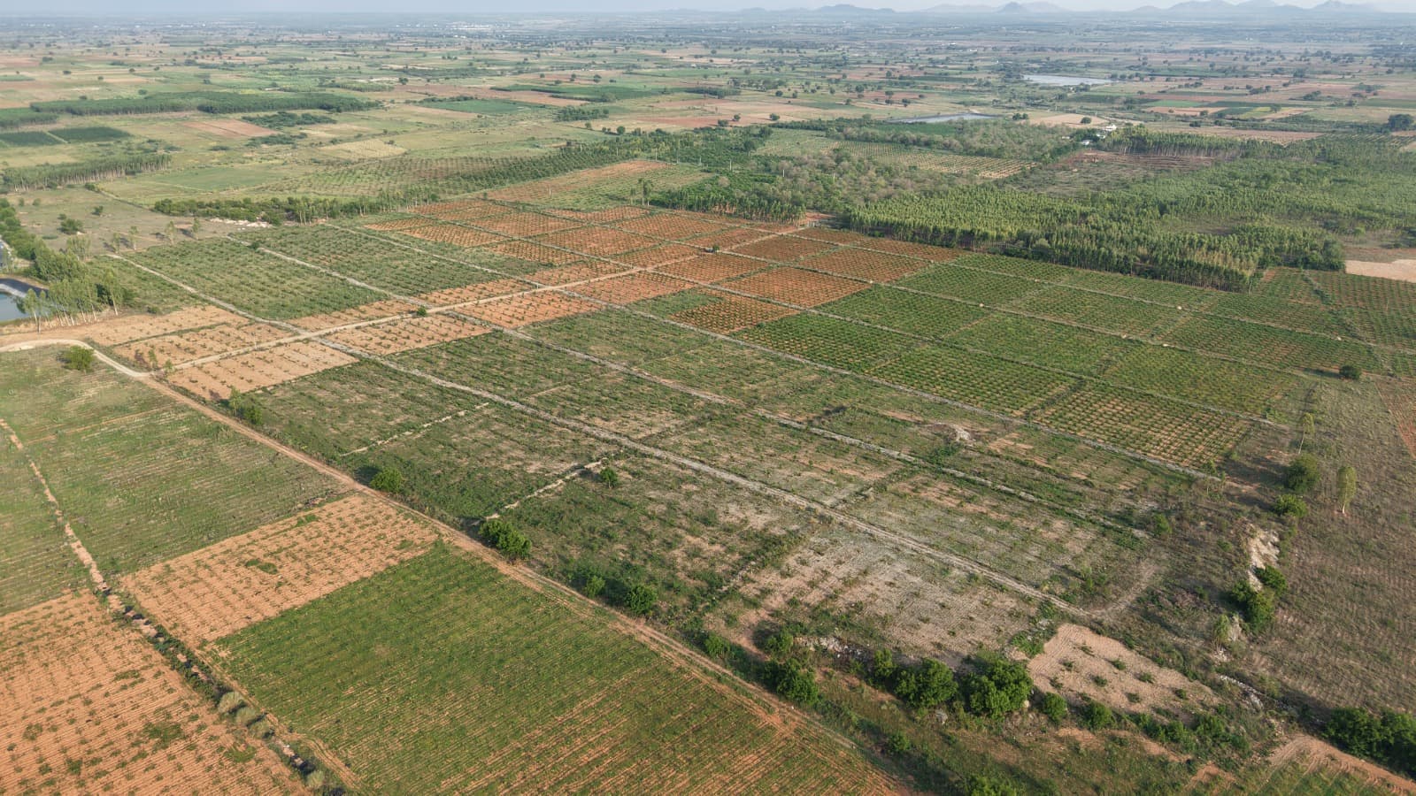 Cloud Farming green landscape view